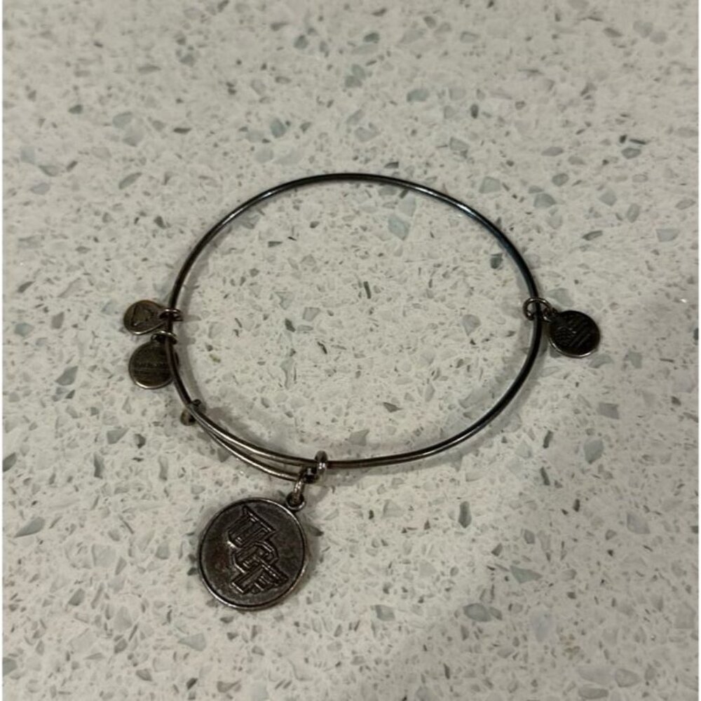 alex and ani silver bracelet
